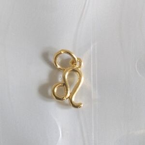 Gold Filled Leo Zodiac Charm Pendant